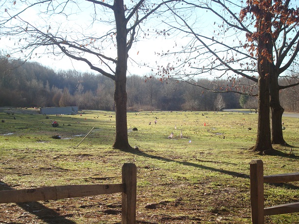 Cemetery view